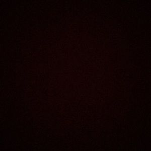 Meet your Posher, Abbey